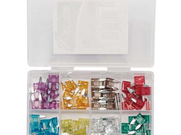 100 Pack Assorted Mini Fuses
